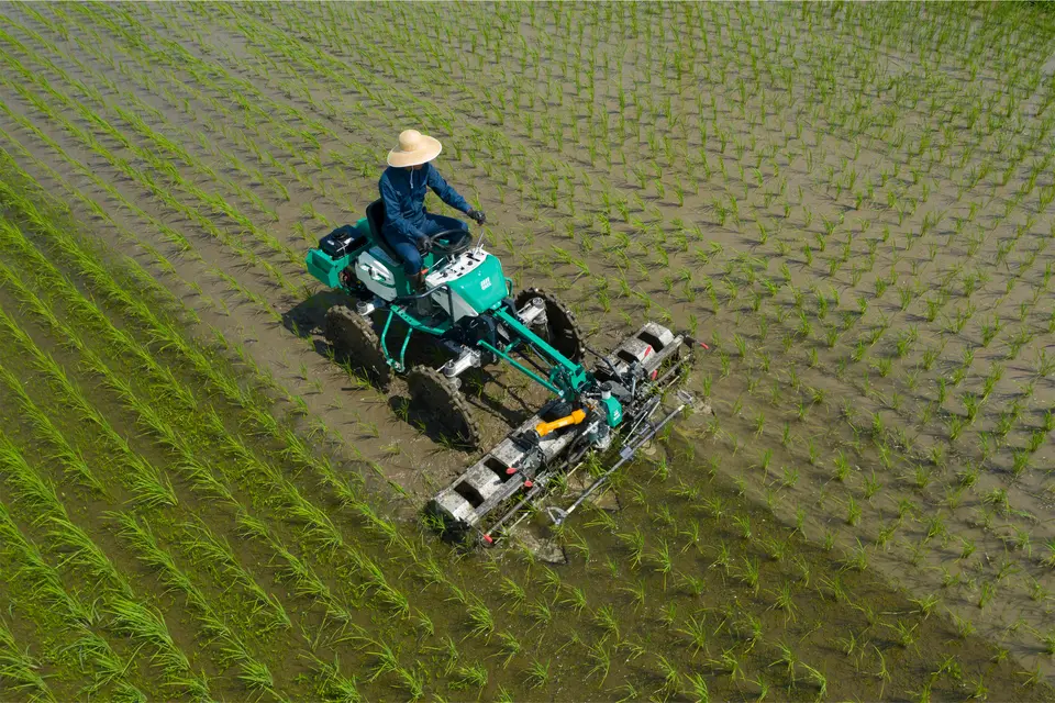 Orec Paddy Weeder