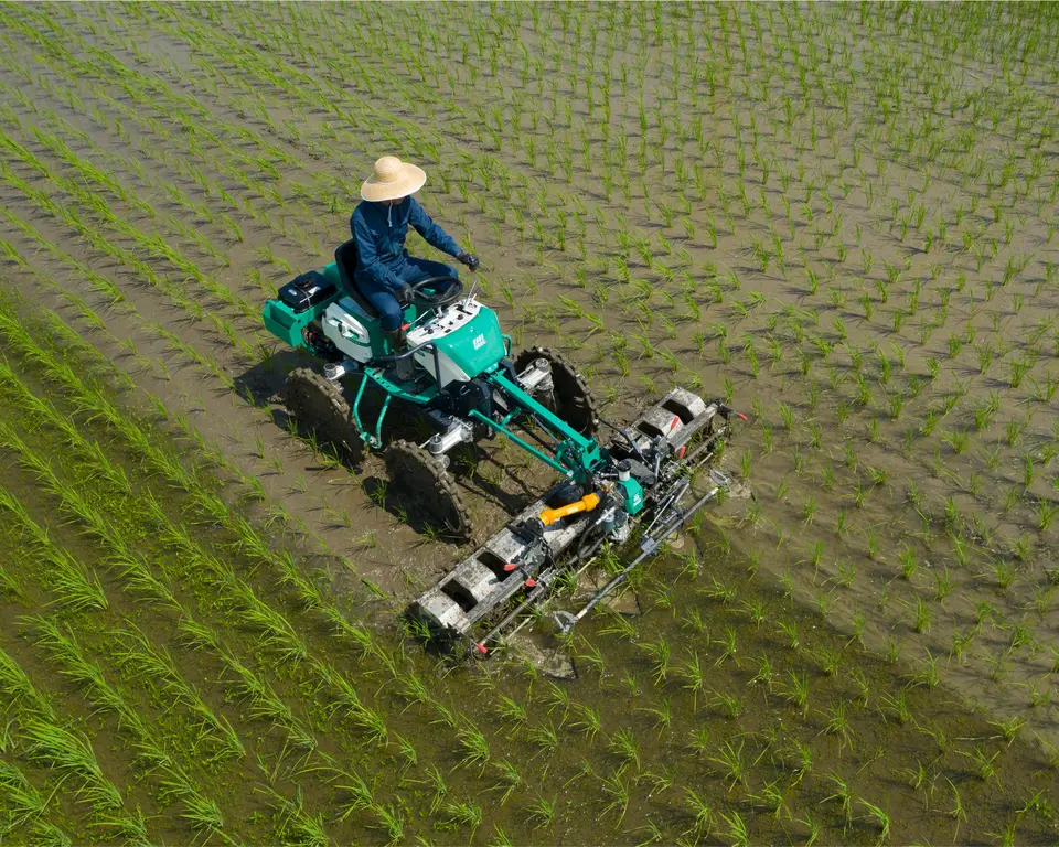 Orec Paddy Weeder