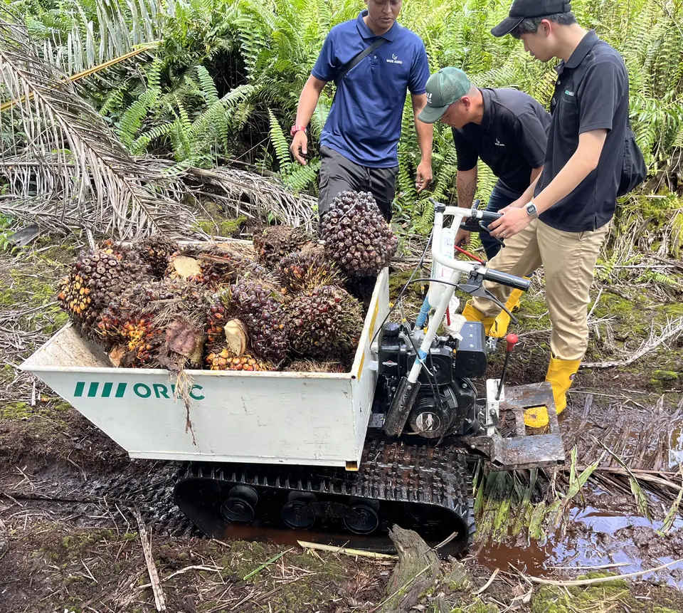 Orec in Malaysia